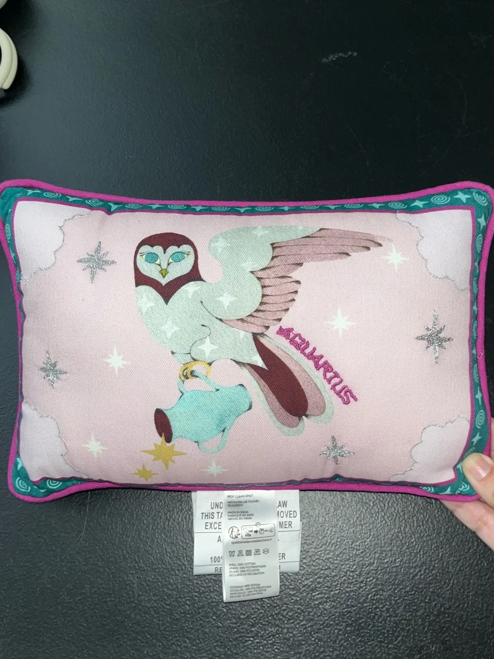 Lou Benesch X Anthropologie Miniature Stargazer embroidered pillow
